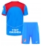 Atletico Madrid 3rd trikot Kinder 2025-26 Kurzarm (+ kurze hosen)