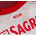 Benfica Auswärtstrikot Kinder 2026-27 Kurzarm (+ kurze hosen)