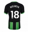 Brighton Danny Welbeck #18 3rd trikot 2024-25 Kurzarm