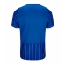 Brighton Luka Vuskovic #44 Heimtrikot 2026-27 Kurzarm Brighton Luka Vuskovic #44 Heimtrikot 2026-27 Kurzarm