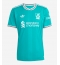 Liverpool Alexander Isak #9 3rd trikot 2025-26 Kurzarm
