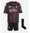 Liverpool Bradley Barcola #29 3rd trikot Kinder 2026-27 Kurzarm (+ kurze hosen)