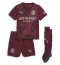 Manchester City Rodri Hernandez #16 3rd trikot Kinder 2024-25 Kurzarm (+ kurze hosen)