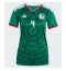 Mexiko Edson Alvarez #4 Heimtrikot Frauen WM 2026 Kurzarm Mexiko Edson Alvarez #4 Heimtrikot Frauen WM 2026 Kurzarm