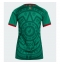 Mexiko Heimtrikot Frauen WM 2026 Kurzarm Mexiko Heimtrikot Frauen WM 2026 Kurzarm