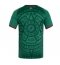 Mexiko Heimtrikot WM 2026 Kurzarm Mexiko Heimtrikot WM 2026 Kurzarm