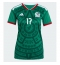 Mexiko Orbelin Pineda #17 Heimtrikot Frauen WM 2026 Kurzarm