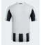 Newcastle United Heimtrikot 2025-26 Kurzarm