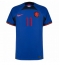Niederlande Steven Berghuis #11 Auswärtstrikot WM 2022 Kurzarm