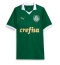 Palmeiras Estevao Willian #41 Heimtrikot 2024-25 Kurzarm