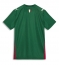 Palmeiras Heimtrikot 2026-27 Kurzarm Palmeiras Heimtrikot 2026-27 Kurzarm
