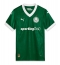 Palmeiras Vitor Roque #9 Heimtrikot 2025-26 Kurzarm Palmeiras Vitor Roque #9 Heimtrikot 2025-26 Kurzarm
