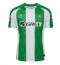 Real Betis Rodrigo Riquelme #17 Heimtrikot 2025-26 Kurzarm Real Betis Rodrigo Riquelme #17 Heimtrikot 2025-26 Kurzarm