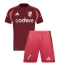 River Plate Auswärtstrikot Kinder 2024-25 Kurzarm (+ kurze hosen)