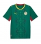 Senegal Auswärtstrikot WM 2026 Kurzarm