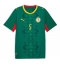 Senegal Idrissa Gueye #5 Auswärtstrikot WM 2026 Kurzarm Senegal Idrissa Gueye #5 Auswärtstrikot WM 2026 Kurzarm
