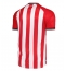 Sunderland Heimtrikot 2025-26 Kurzarm Sunderland Heimtrikot 2025-26 Kurzarm